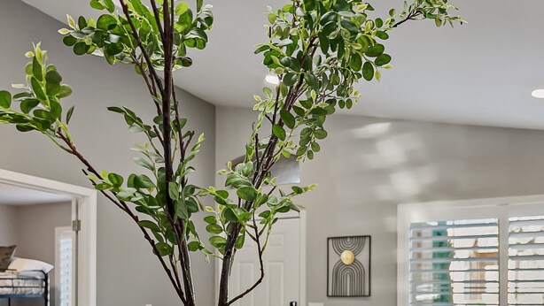 A living room with a wooden table, a white vase with branches, a beige sofa, and a white armchair. - Kimberly Surprise (Surprise)