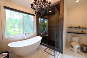 Hair dryer, bidet, towels, soap - Charming 3-bedroom house in Whitefish (Whitefish)