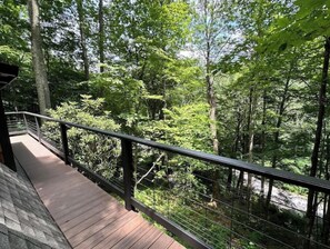 Property grounds - A-Frame cabin in the woods (Waynesville)