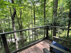 Property grounds - A-Frame cabin in the woods (Waynesville)