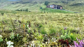 A modern house on a grassy hill with a clear sky. - Modern mountain-view cottage in Golden Circle with outdoor Hot Tub & Sauna (Hrunamannahreppur)