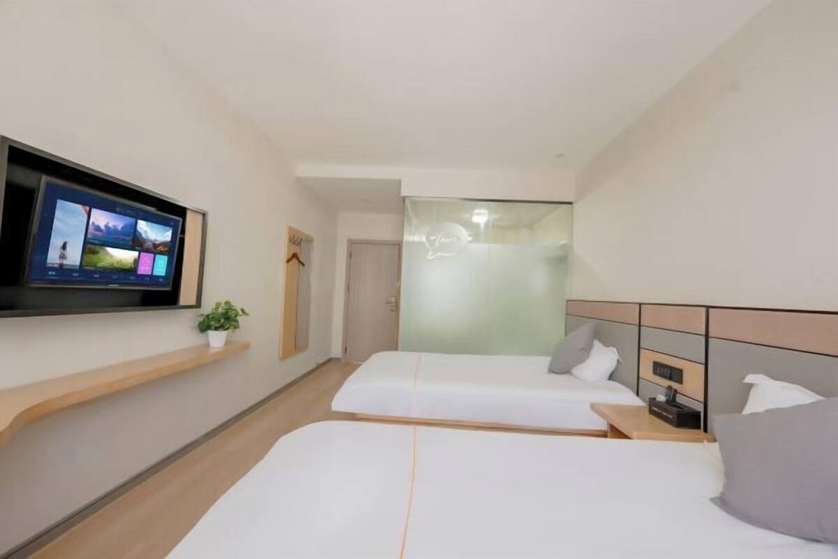Habitación de hotel con dos camas, un televisor montado en la pared, una planta pequeña y un separador de vidrio.
