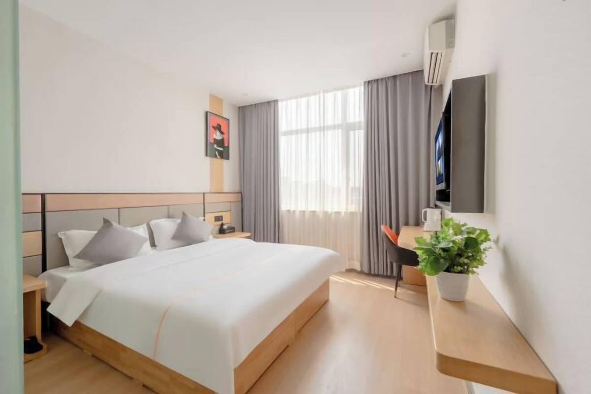 Habitación de hotel con cama, mesita de noche, televisor y una planta en maceta.
