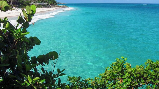 Une plage à l’eau turquoise et limpide, bordée d’un rivage sablonneux et d’une végétation luxuriante.