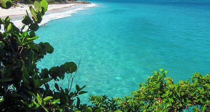 Amazing Pool & 2 min walk to beach - Ocean View