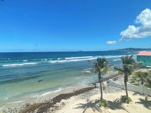 A beach with clear blue water, a sandy shore, and a few palm trees.