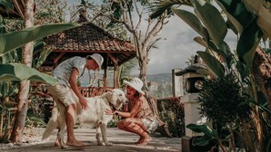Un espacio al aire libre techado con tejas, rodeado de vegetación tropical.