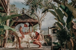 A covered outdoor area with a tiled roof, surrounded by tropical vegetation. - Rumi Bumi Lovina (Buleleng)
