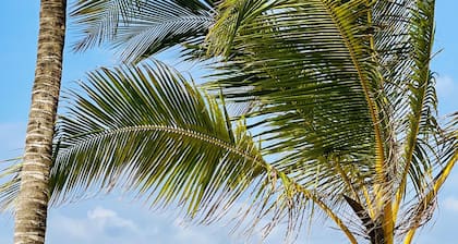 2-bedroom Diani Beach apartment paradise on delightful Diani Beach with WiFi, AC