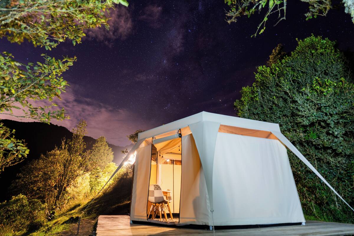 A tented accommodation with a view of the night sky, surrounded by trees.