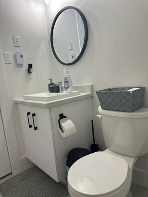 Hair dryer, towels, soap, shampoo - Tynnah’s Place (Riverview)