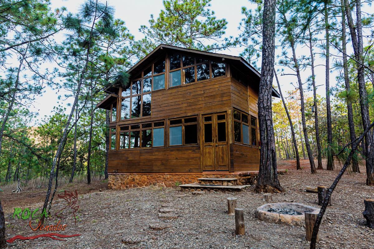 A two-story wooden cabin surrounded by trees.