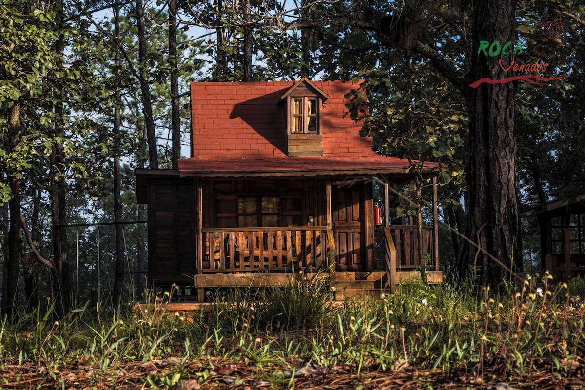 A rustic cabin with a wooden porch, surrounded by tall trees and a forested area.