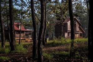 A cabin with a wooden exterior, surrounded by tall trees and a forested area.
