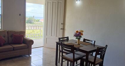 Charming 1-bedroom with WiFi, AC in marvelous Hicks Village. Gorgeous views!