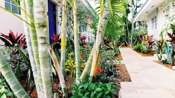 Área da propriedade