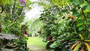 Un sendero en un jardín rodeado de abundante vegetación y diversas plantas.