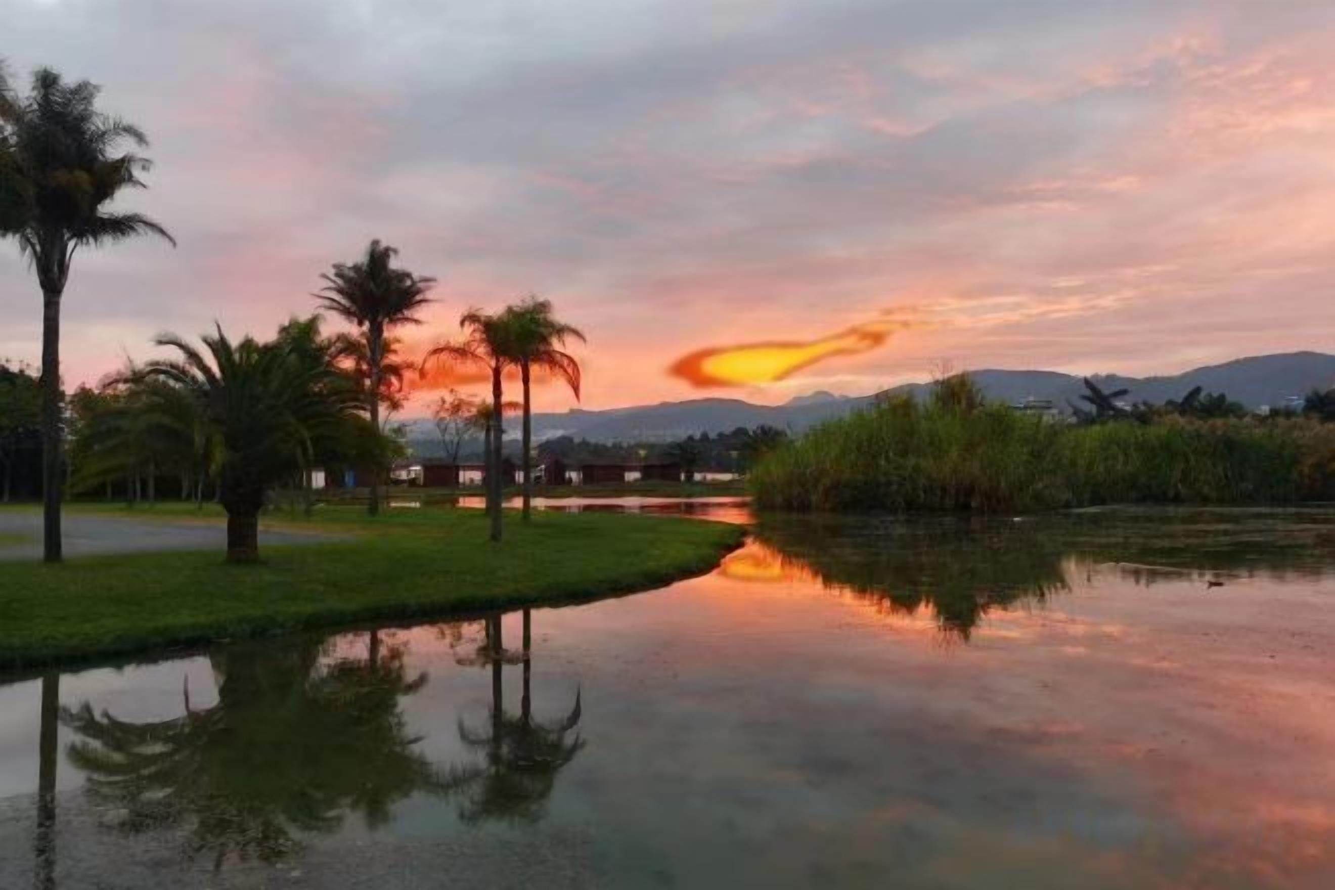 A calm body of water reflecting trees and a sunset sky.