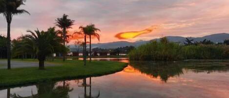A calm body of water reflecting trees and a sunset sky.