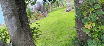 Family and pet friendly farm stay