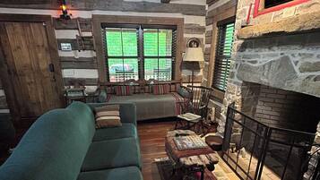 Smart TV, fireplace, books