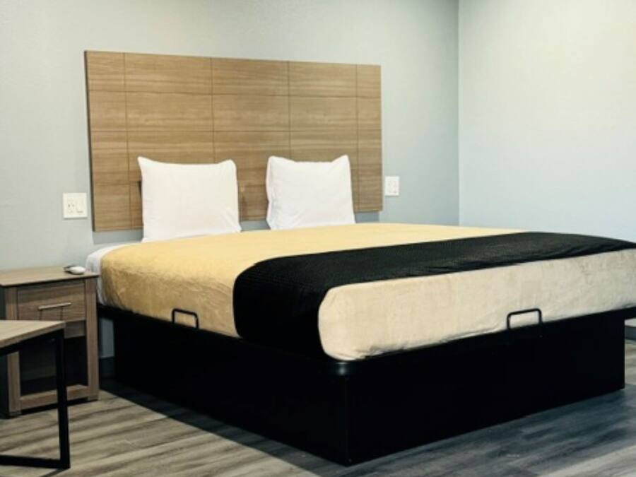 Une chambre d’hôtel moderne avec un grand lit, une tête de lit en bois, une table de chevet et une petite table de nuit.