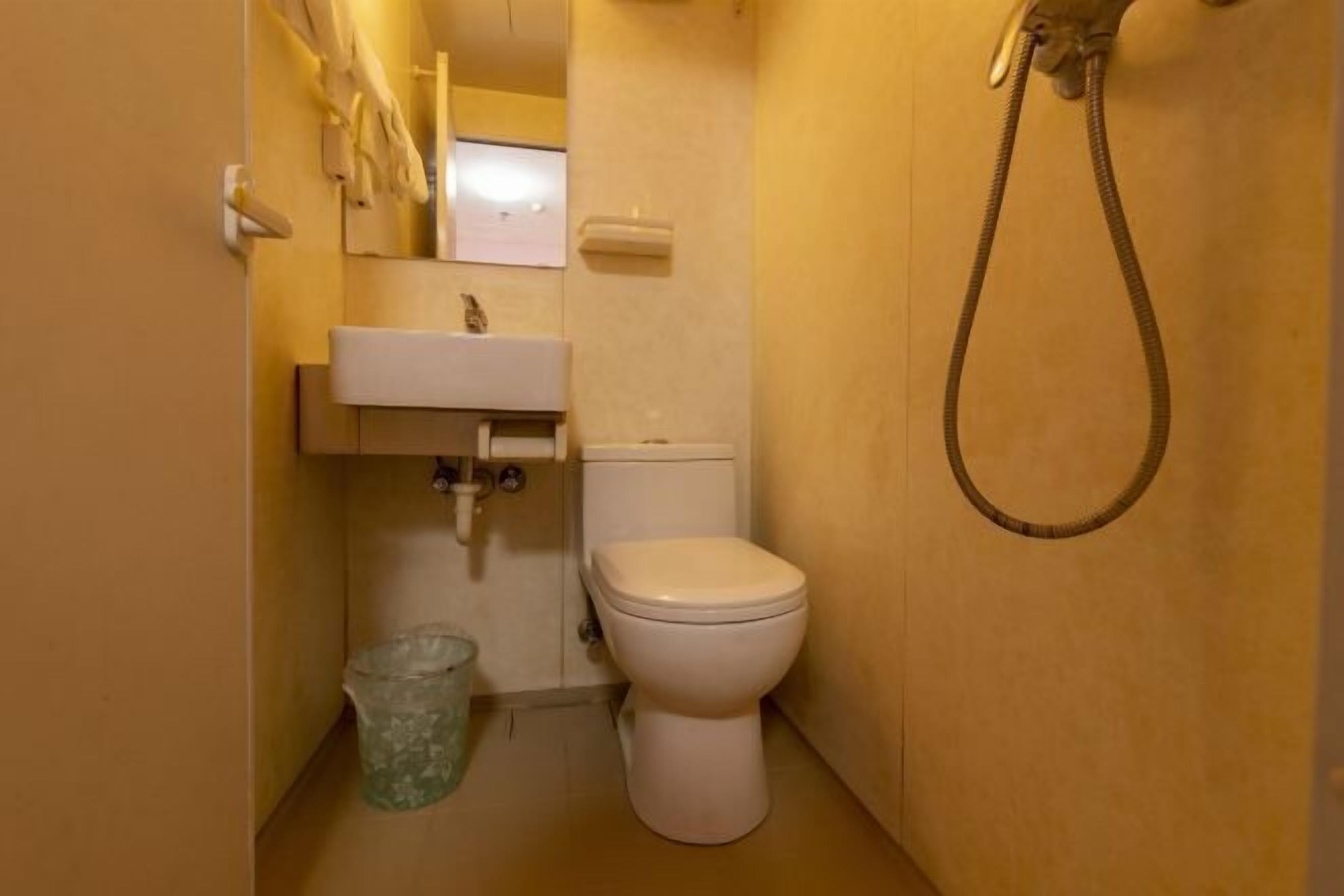 A small bathroom with a toilet, sink, and shower.