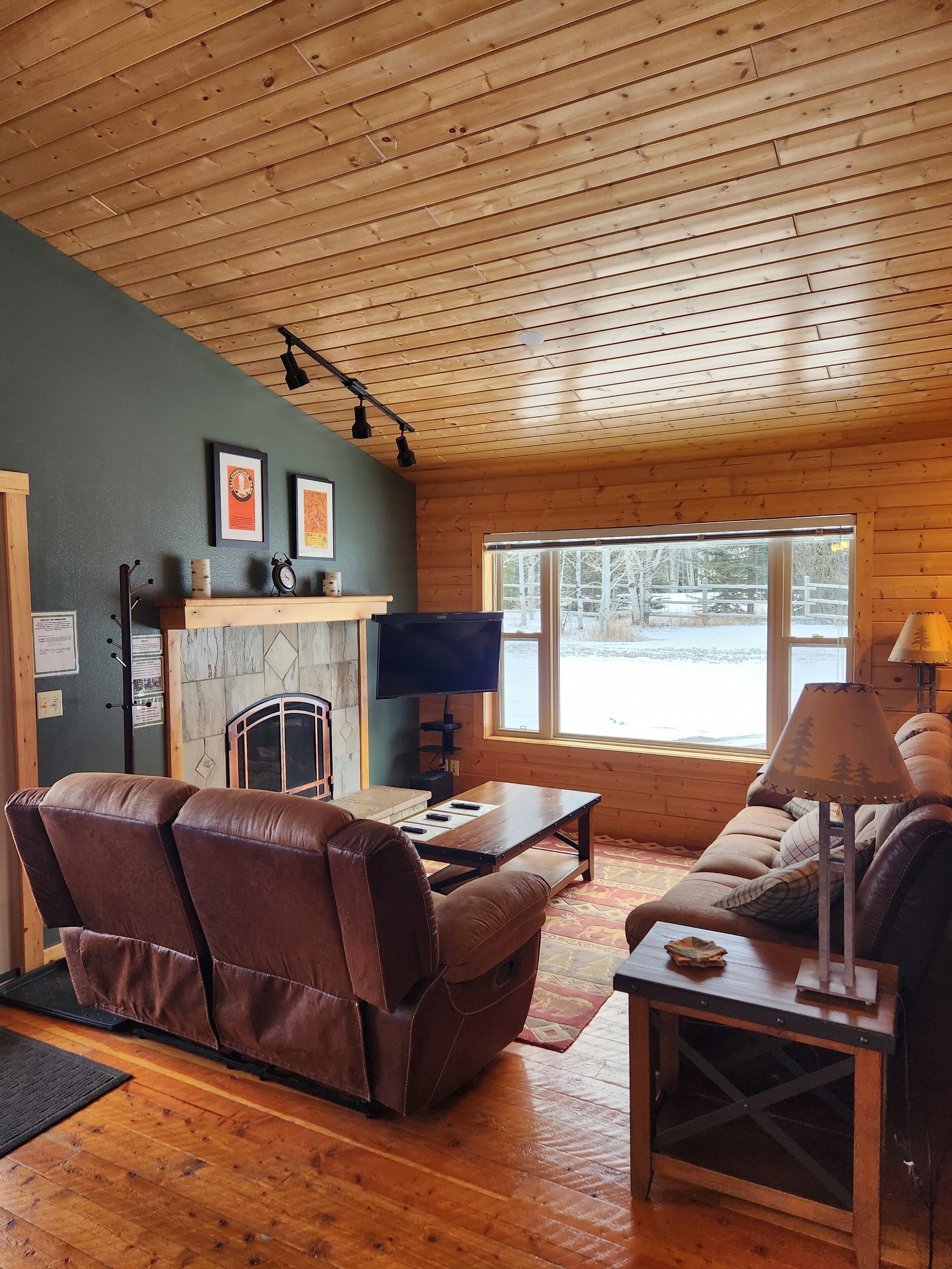 Smart TV, fireplace, DVD player, books