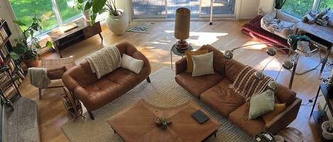 Smart TV, fireplace, video games, books