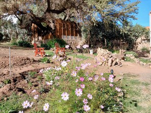 Overnattingsstedets uteområder