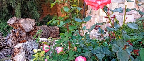 DĂ©tail de lâextĂ©rieur