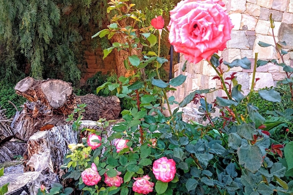 Detalle del exterior