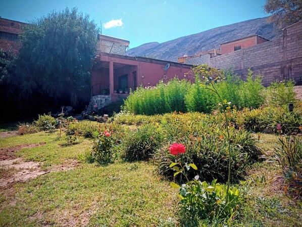 Une cour avec un bâtiment, de la verdure et une fleur rouge.