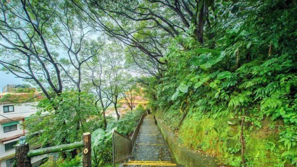 Eine steinerne Treppe, umgeben von üppiger Vegetation, die einen Hügel hinaufführt.