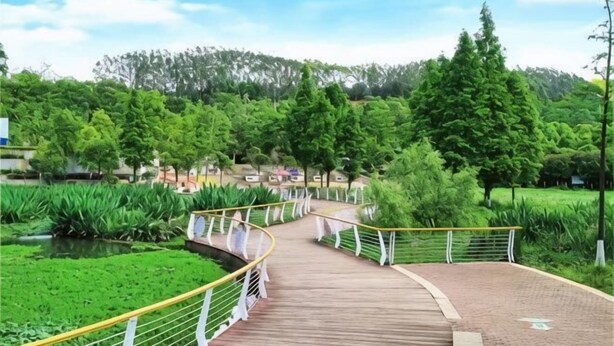 A wooden boardwalk with white railings, surrounded by lush greenery and a pond. - Pai Hotel (Chenzhou Yizhang County Yiren Plaza Branch) (Yizhang)