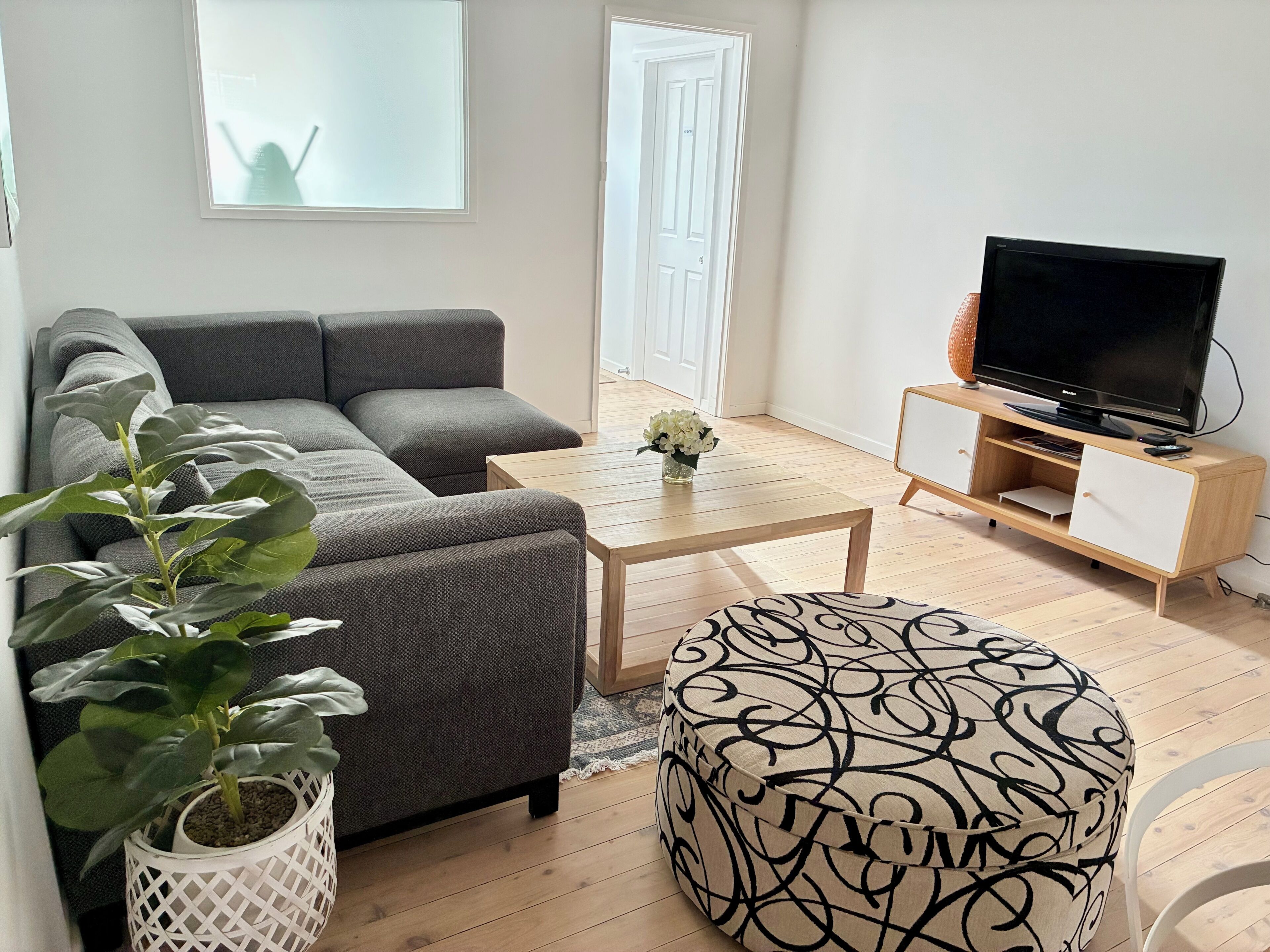 Smart TV, books, computer monitors
