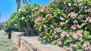 DĂ©tail de lâextĂ©rieur