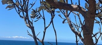 Beachside townhouse Mona Vale beach -spacious and modern, footsteps to beach