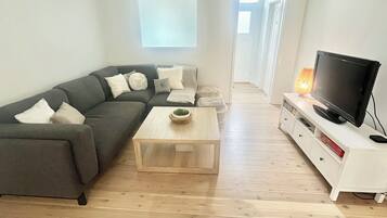 Smart TV, books, computer monitors