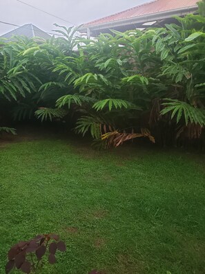 Property grounds - Home Away From Home  (Kampala)