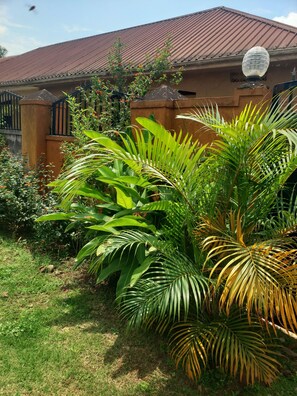 Property grounds - Home Away From Home  (Kampala)