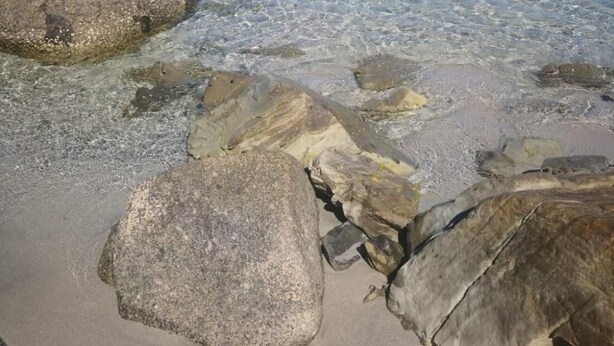 Ein Strand mit klarem Wasser, großen Felsen und einer fernen Küstenlinie mit Bäumen.