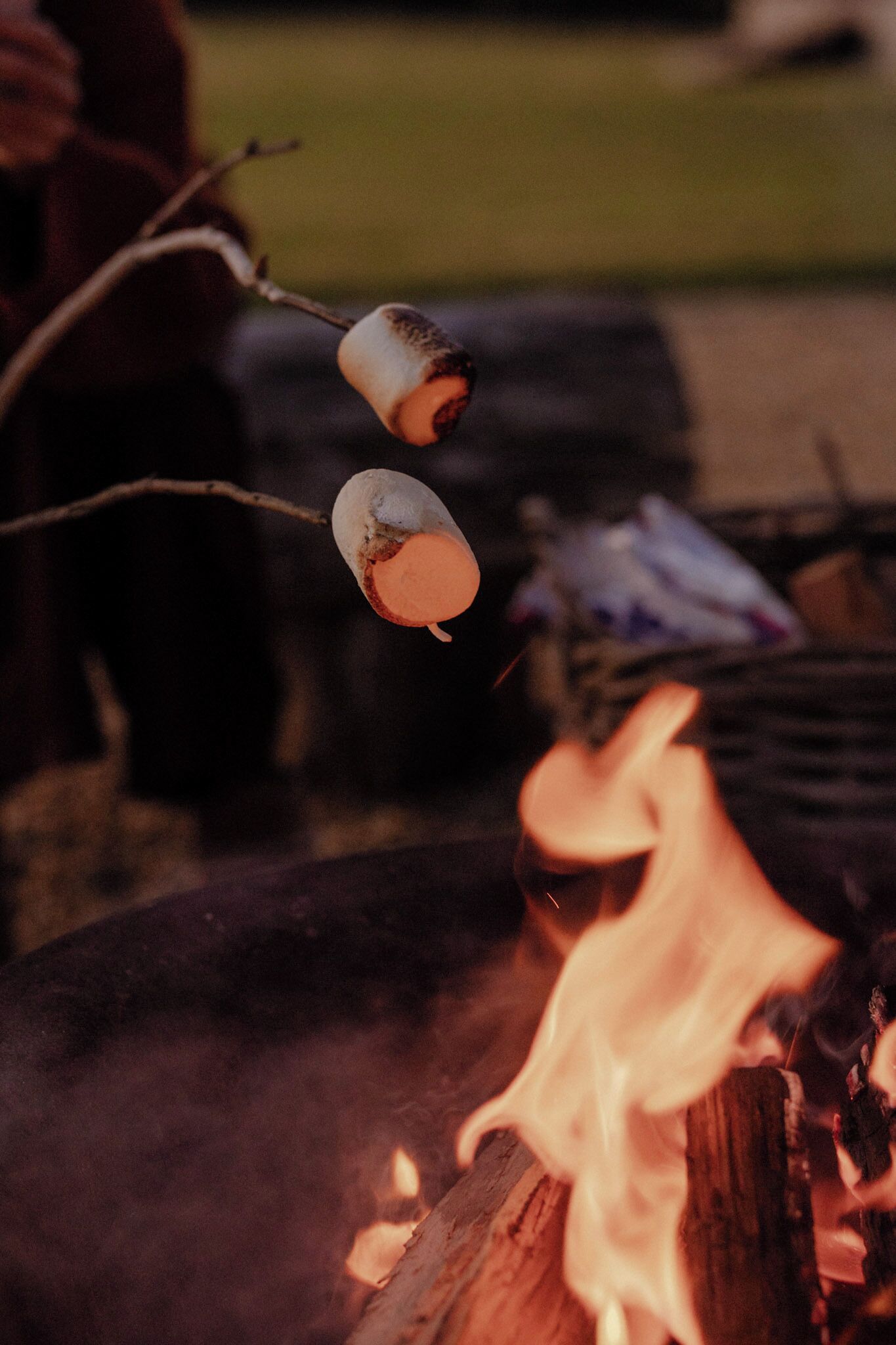 Two marshmallows roasting over a campfire.
