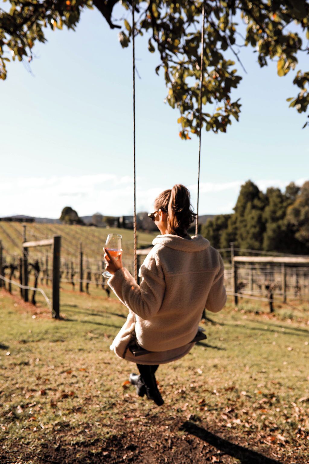 A person sitting on a swing in a vineyard with a clear sky in the background.