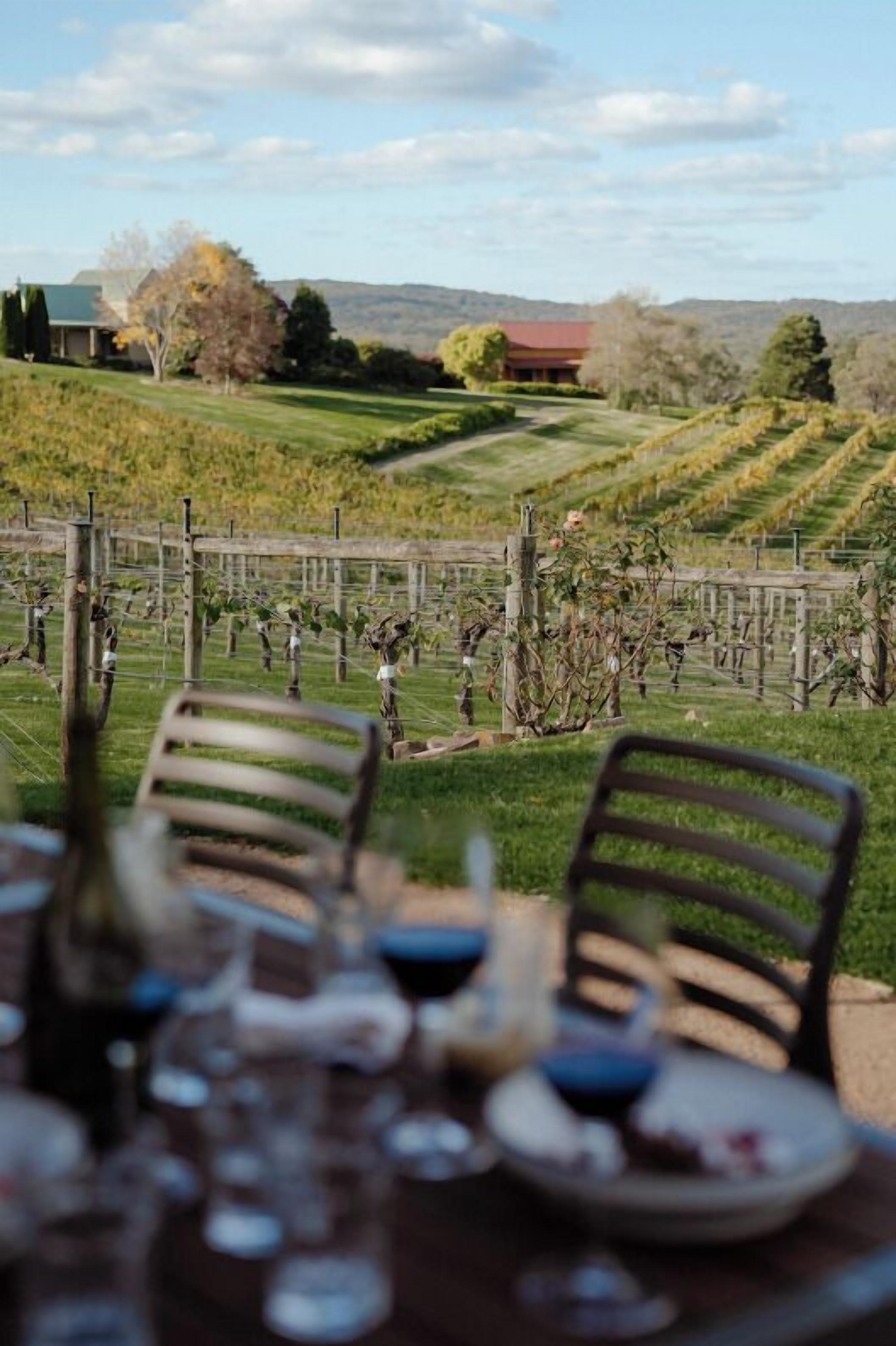 A table set for dining with a vineyard view in the background.