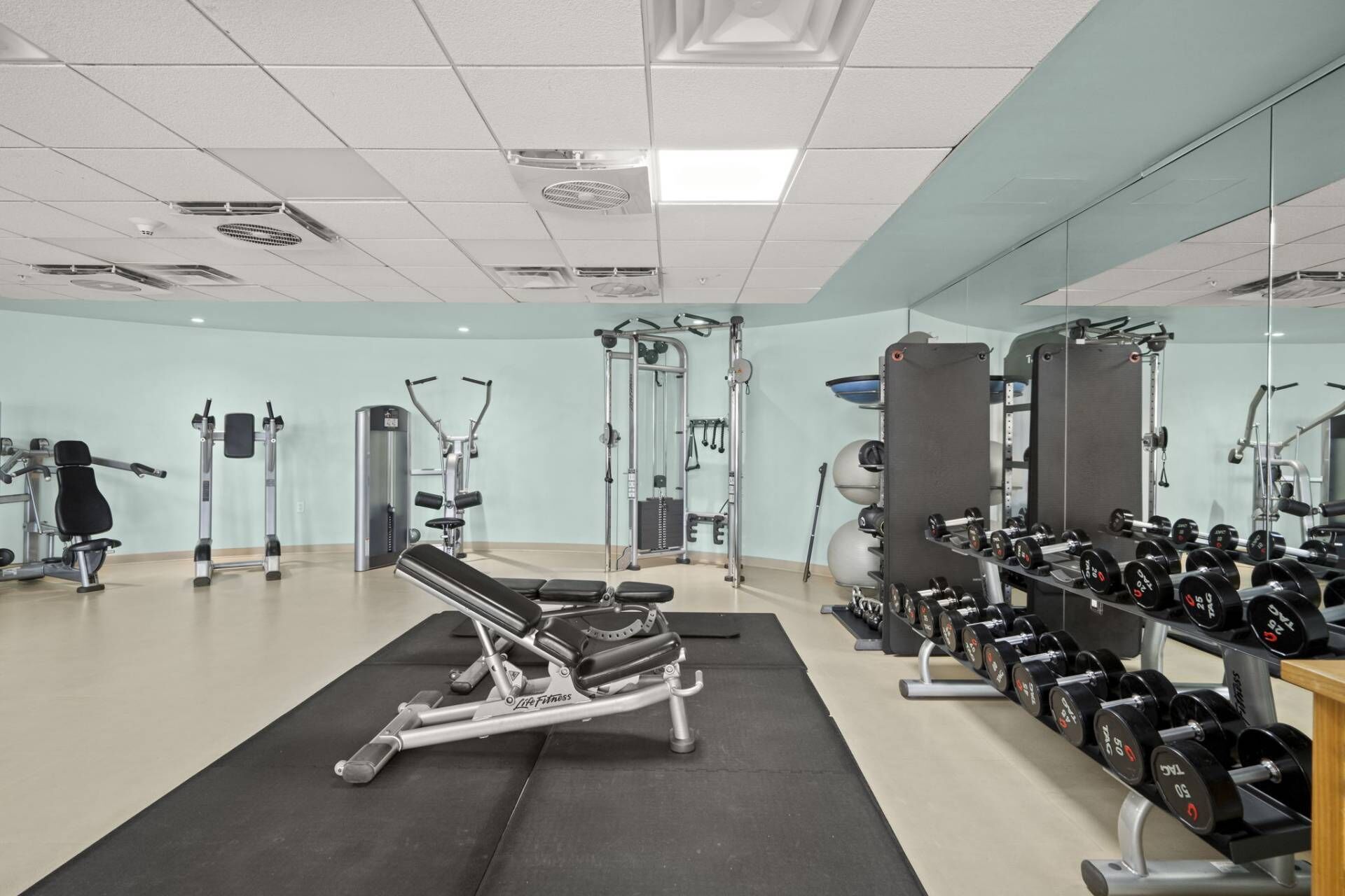 Ein Fitnessstudio mit verschiedenen Trainingsgeräten, darunter eine Hantelbank, Kurzhanteln und Kraftgeräte.