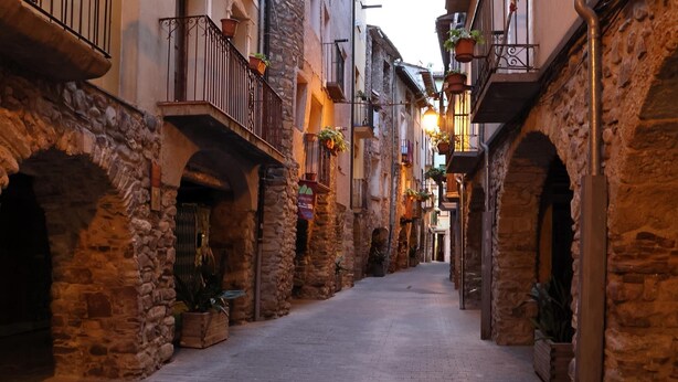 A narrow cobblestone street flanked by stone buildings with balconies and hanging plants.