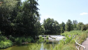 A river with a bridge, surrounded by dense greenery and a pathway with a railing.