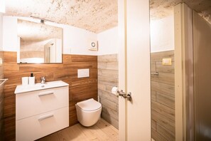 Shower, hair dryer, bidet, towels