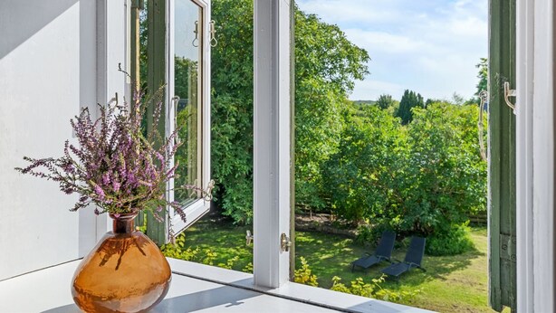Vista desde una ventana con un florero en el alféizar, con vistas a un jardín con follaje verde y cielo despejado.